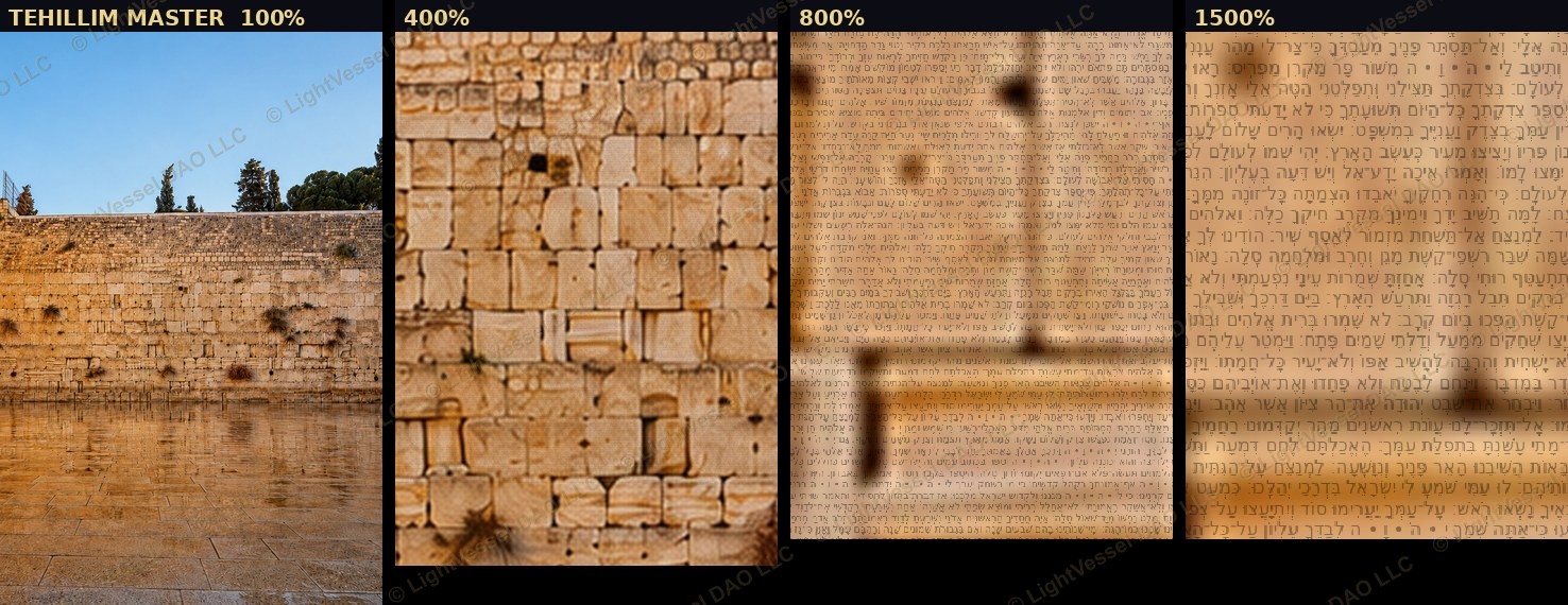 100×, 400×, 800×, and 1500% magnification revealing the woven Psalms